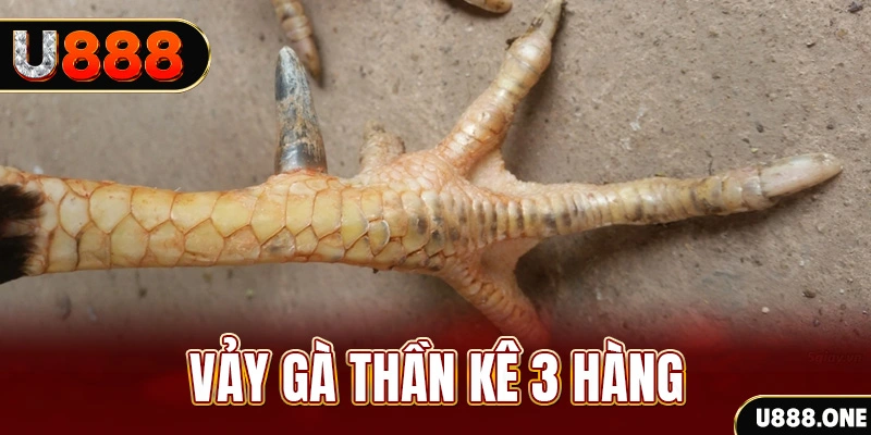 ae3888 nổ hũ đổi thưởng . ai