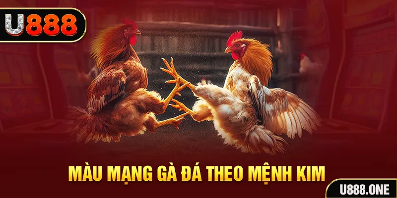 ae3888 gà chọi tiêu phong