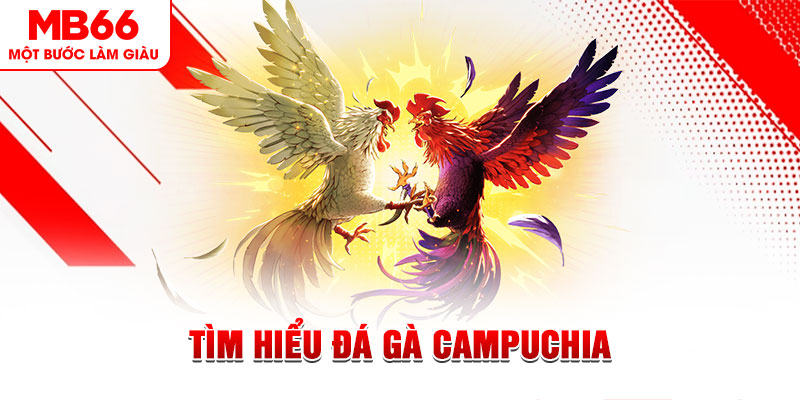 ae3888 tại sao không tải được nổ hũ