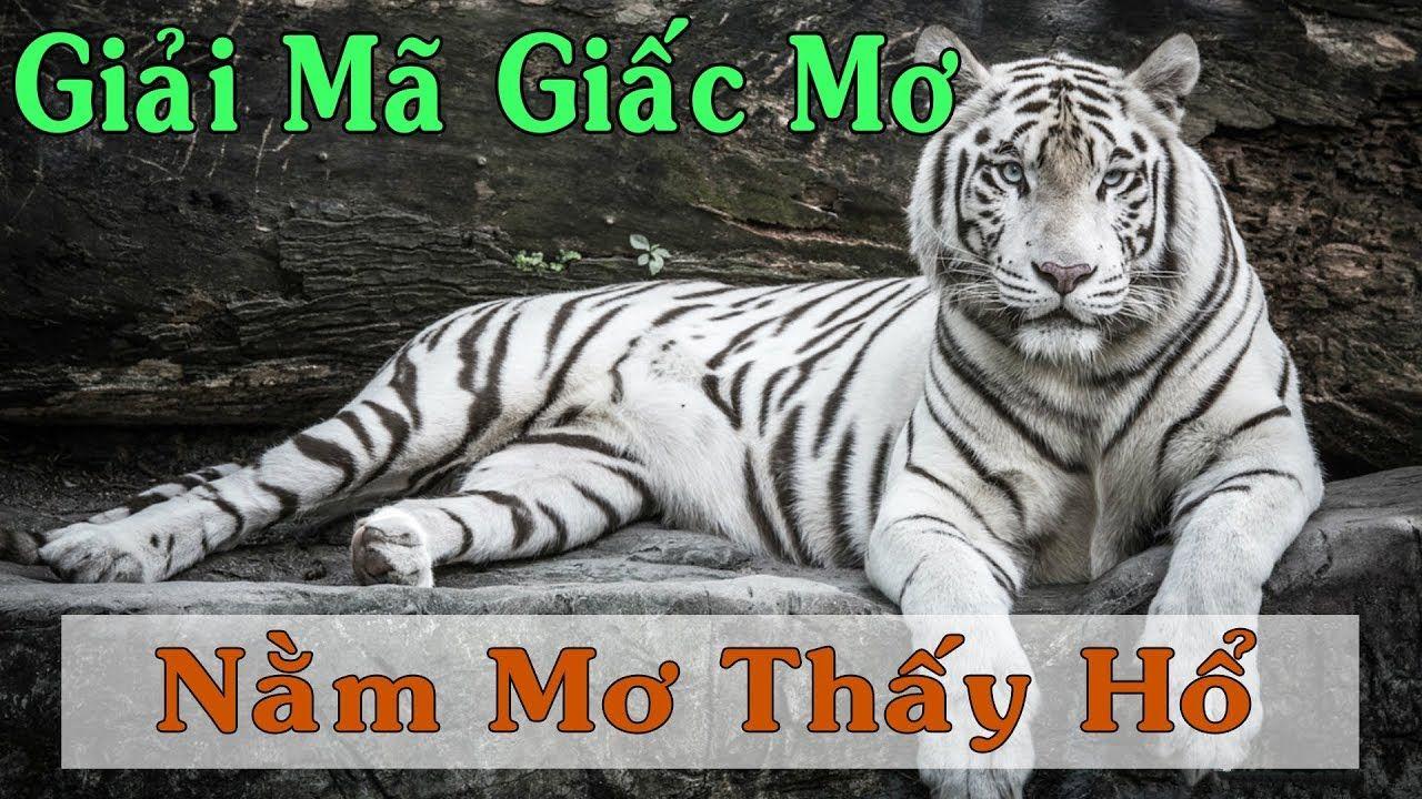ae3888 xổ số miền trung