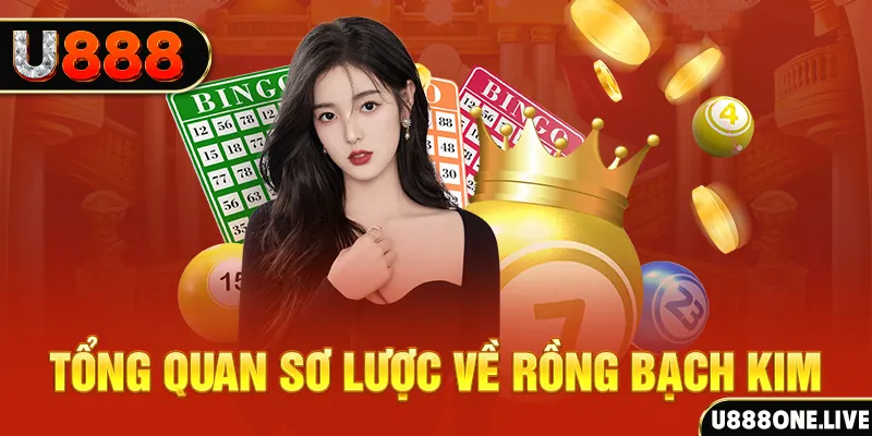 ae3888 how to win at slot machines