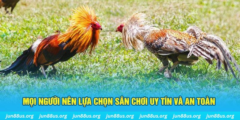 ae3888 hơn cả bạn bè
