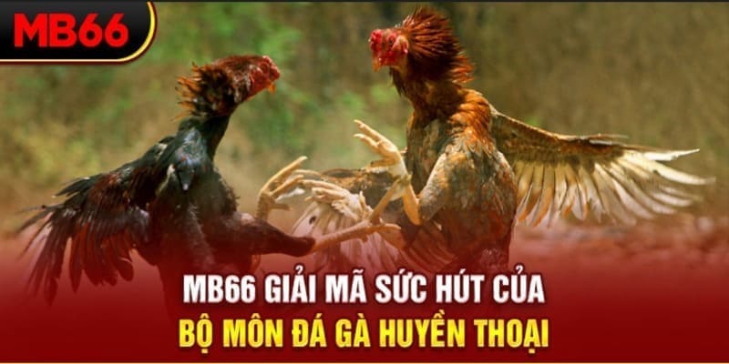 ae3888 long bảo trong baccarat là gì