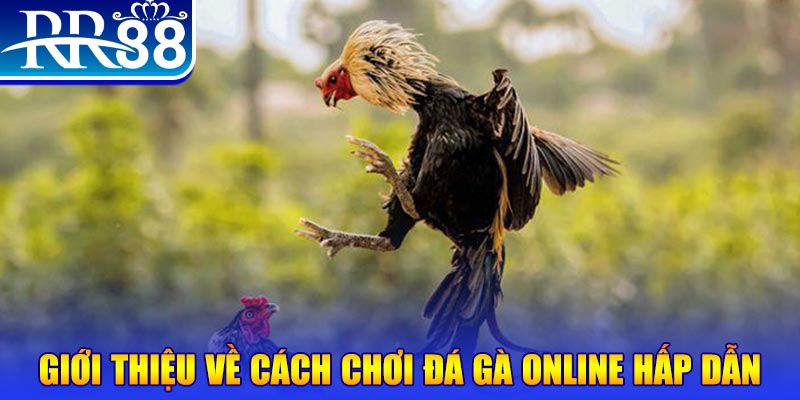 ae3888 nổ hũ 2 mặt là gì